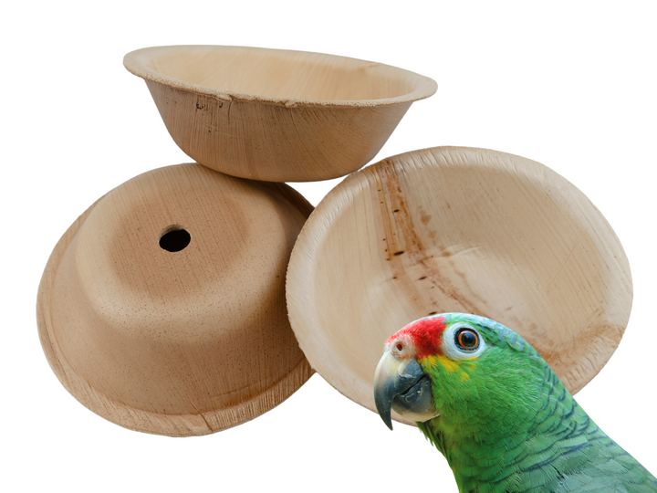 PALM LEAF SAUCERS for pole refills and making bird toys! | Round Large Cups | Bird toy parts