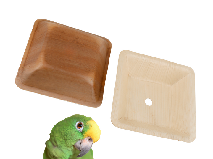 Set of 50 PALM LEAF SAUCERS for pole refills and making bird toys! | Square | Large