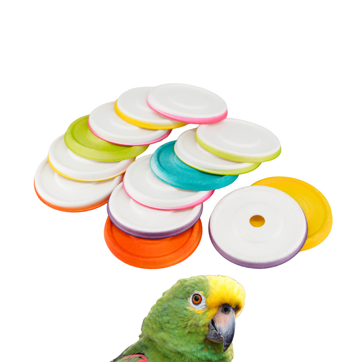 Set of 50 PAPER ROUNDS—small, round discs made from all-natural sugarcane fiber. Ideal for pole refills and building eco-friendly, safe bird toys at home!