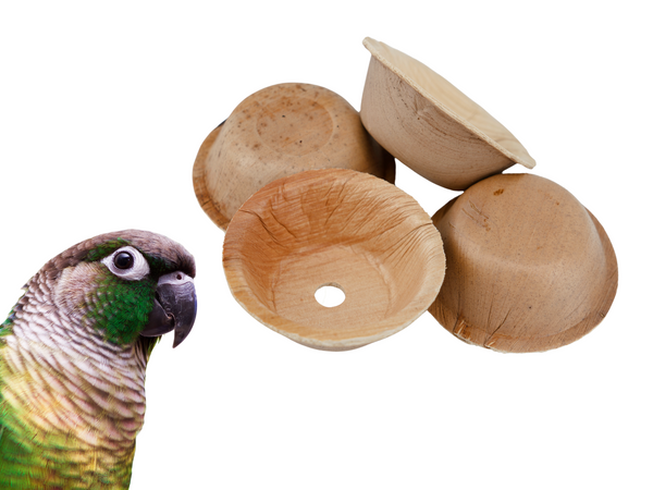 PALM LEAF CUPS for pole refills and making bird toys! | Round Small | Natural bird toy parts