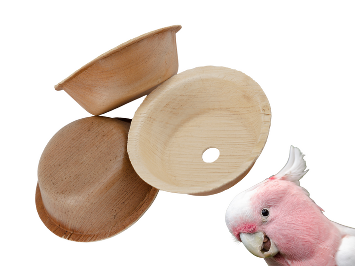 PALM LEAF CUPS for pole refills and making bird toys | Set of 50 | Round Medium Cups | Bird to parts