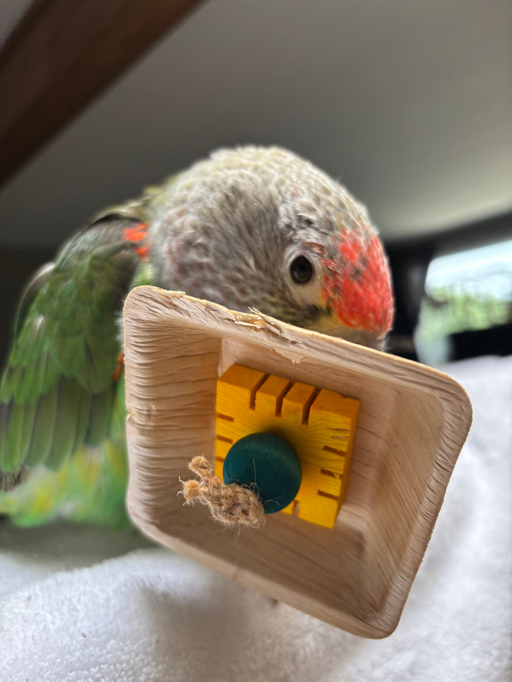 PALM LEAF BOWLS for pole refills and making bird toys | Square Medium Bowls | Bird toy parts