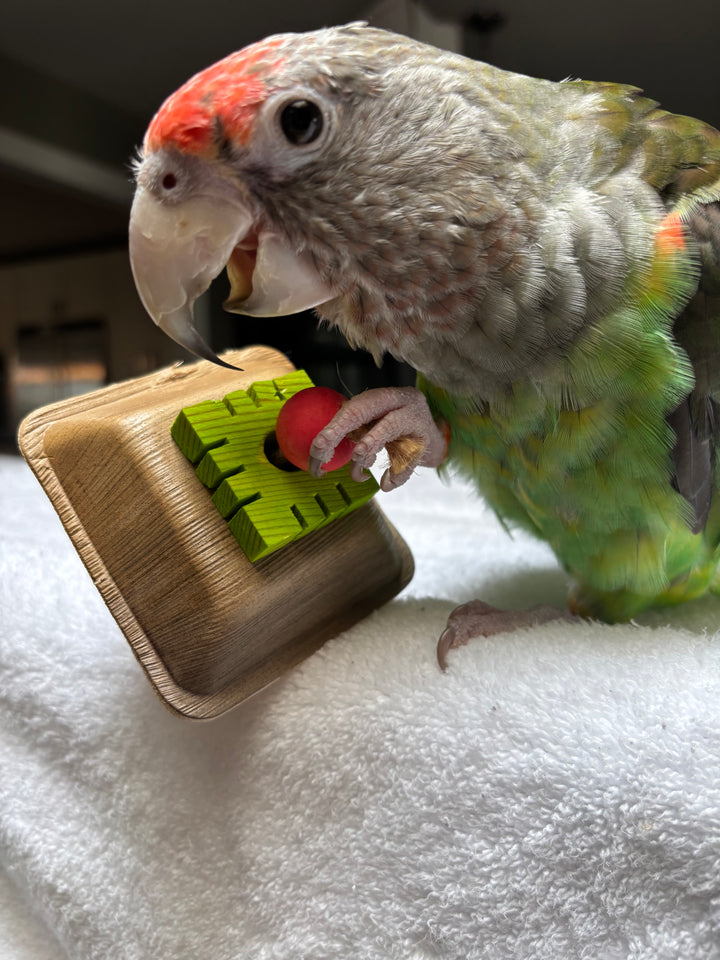 PALM LEAF BOWLS for pole refills and making bird toys | Square Medium Bowls | Bird toy parts