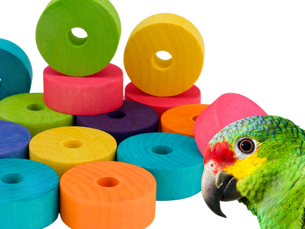 ROUND WOOD BLOCKS | Set of 50 | Large discs for bird toys, poles and skewers | Bird toy parts | Medium Large