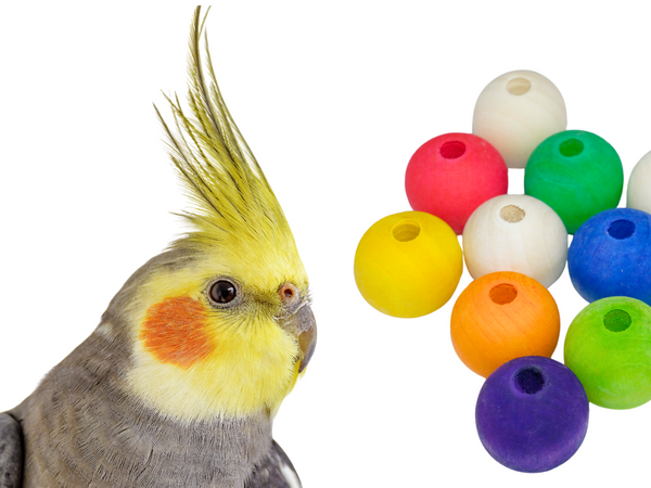 WOOD BEADS for bird toys, poles and skewers | Set of 50 | Bird toy parts | Small | 22mm with 5mm hole