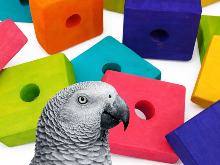 WOOD BLOCKS | Set of 50 | For custom bird toys and pole refills | Large ...