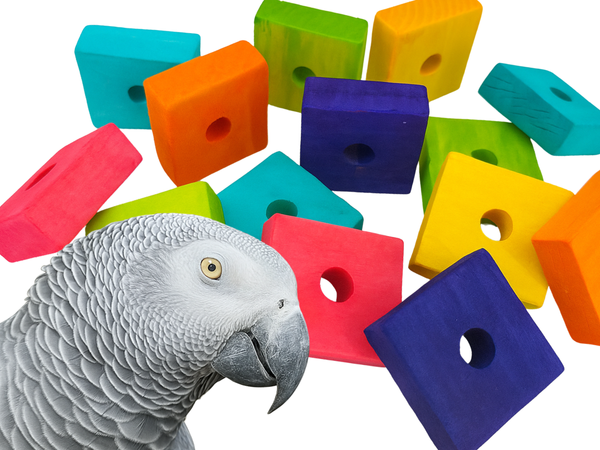 BIRD BLOCKS | Set of 50 | For custom bird toys and pole refills | Large