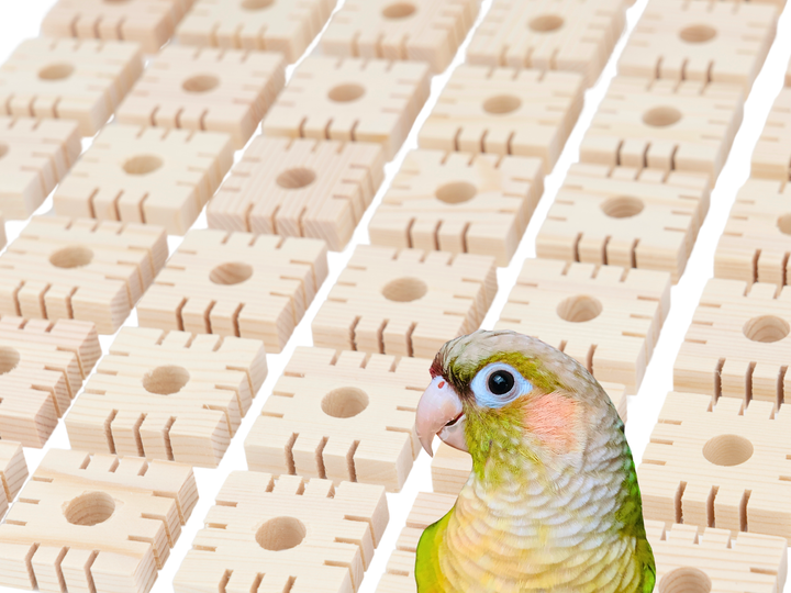 Wooden blocks with holes and a small parrot in front on a white background