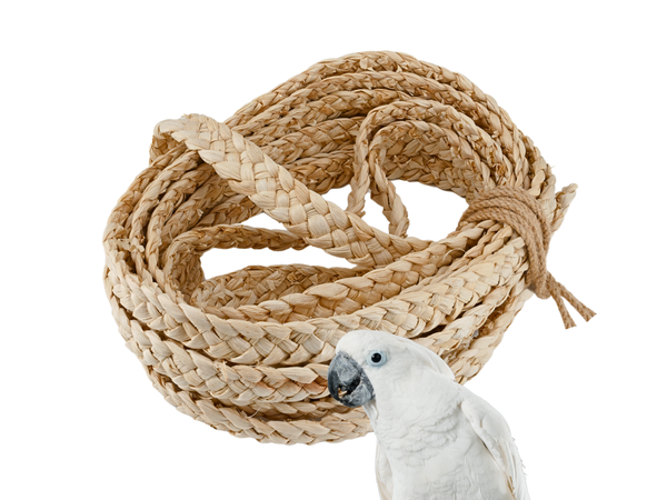 CORN HUSK BRAID | 32 Feet (10 meters) of chewy corn husk ribbon | Jangly Ring™ refill | Natural bird shredder toy