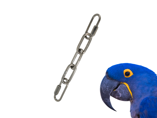 Extra-Large BIRD TOY EXTENDER to hang toys at perch-level