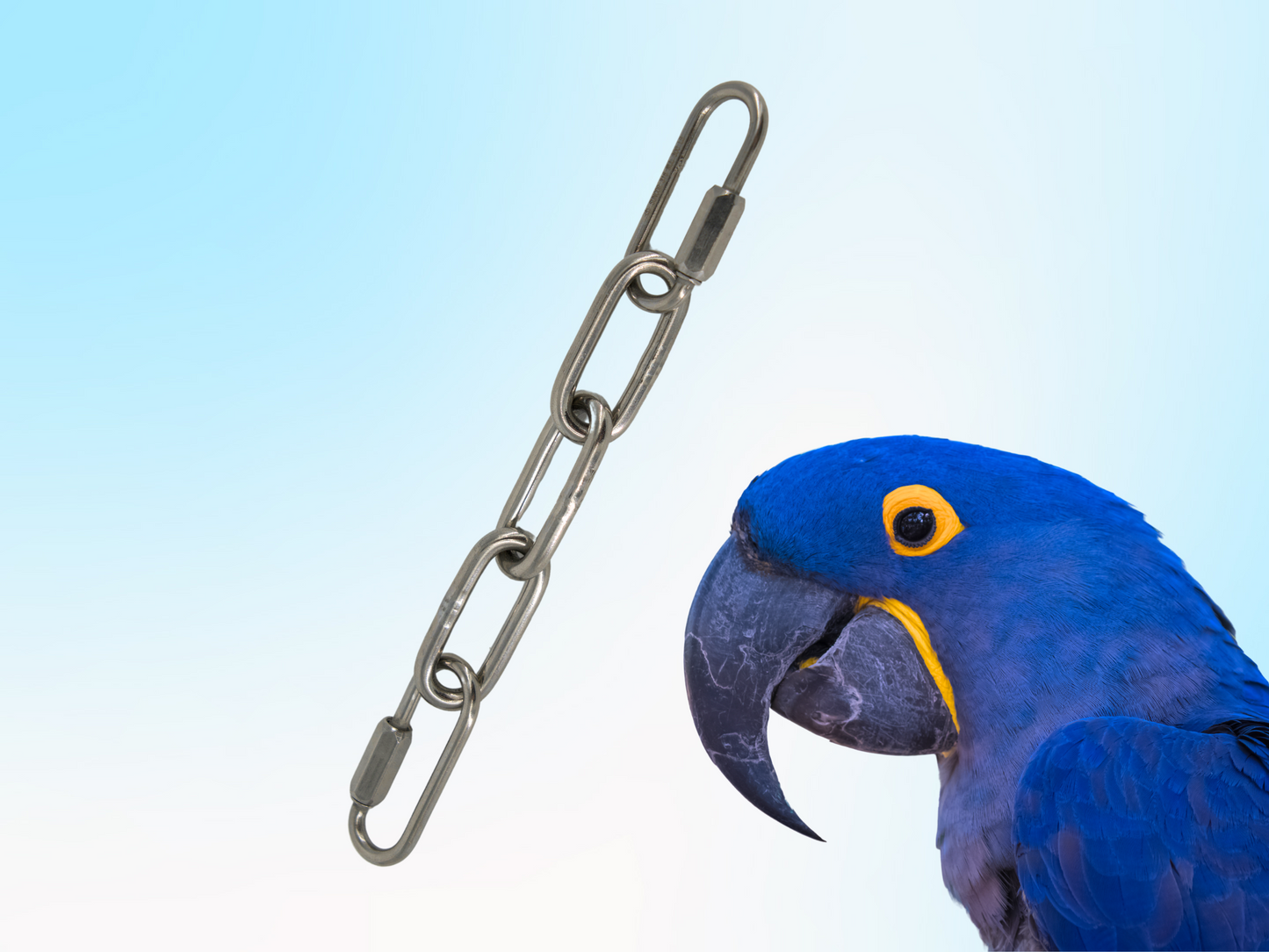 EXTRA-LARGE BIRD TOY EXTENDER / Stainless steel hanger with quick links / Hang toys at perch-level! / Bacteria resistant and dishwasher safe!