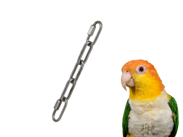 Medium BIRD TOY EXTENDER to hang toys at perch-level