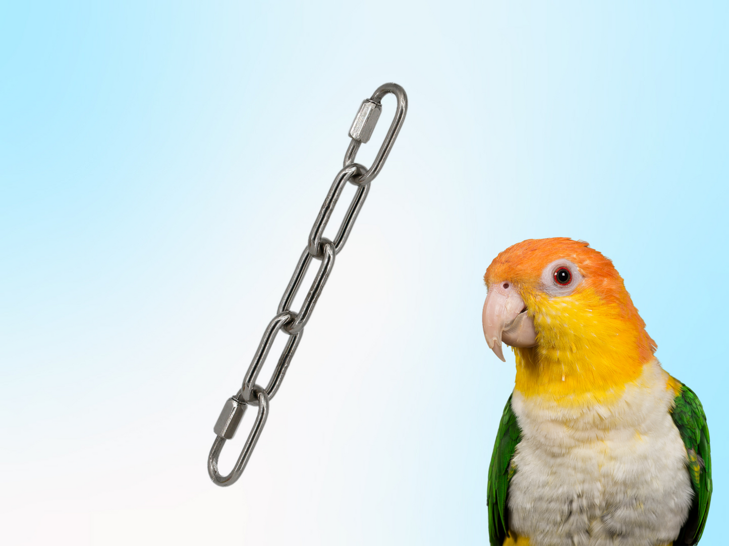 MEDIUM BIRD TOY EXTENDER / Stainless steel bird toy hanger with quick links / Hang toys at perch-level! / Bacteria resistant and dishwasher safe!