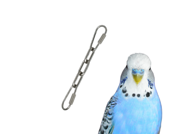 Small BIRD TOY EXTENDER to hang toys at perch-level