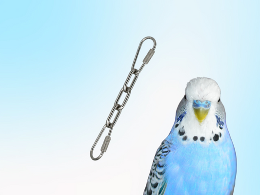 SMALL BIRD TOY EXTENDER / Bird toy hanger with miniature quick links / Hang toys at perch-level! / Stainless steel, bacteria resistant and dishwasher safe!