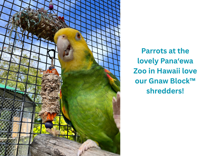 JANGLY POLE™ | Refillable stainless steel parrot toy base with palm leaf shredder | Medium