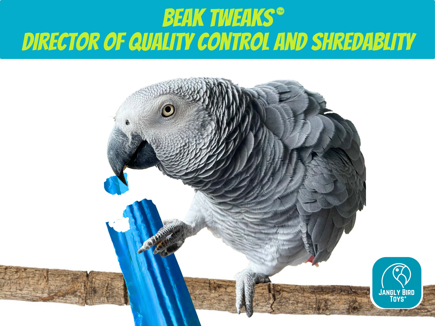 KNOTTY BIRDY™ STAINLESS STEEL TOY BASE / Reusable, sustainable and easily sanitized parrot toy holder /  Lasting foundation for your bird toy creations!