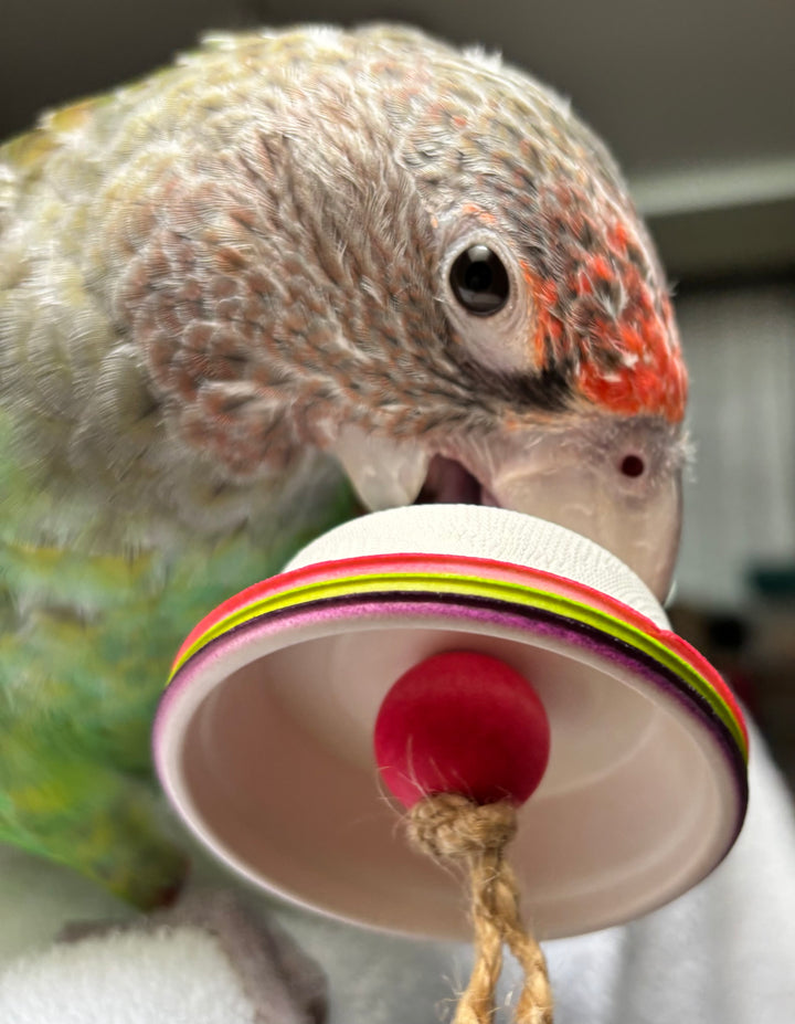 Set of 50 PAPER CUPS—small, round cups made from all-natural sugarcane fiber. Ideal bird toy parts for pole refills and crafting safe, eco-friendly toys!