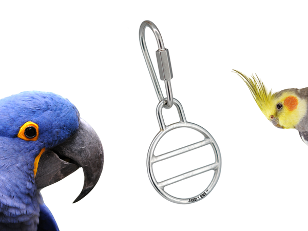 JANGLY RING™ | Set of Two | Braided seagrass included | Refillable holder for shreddable strands | One size fits all birds