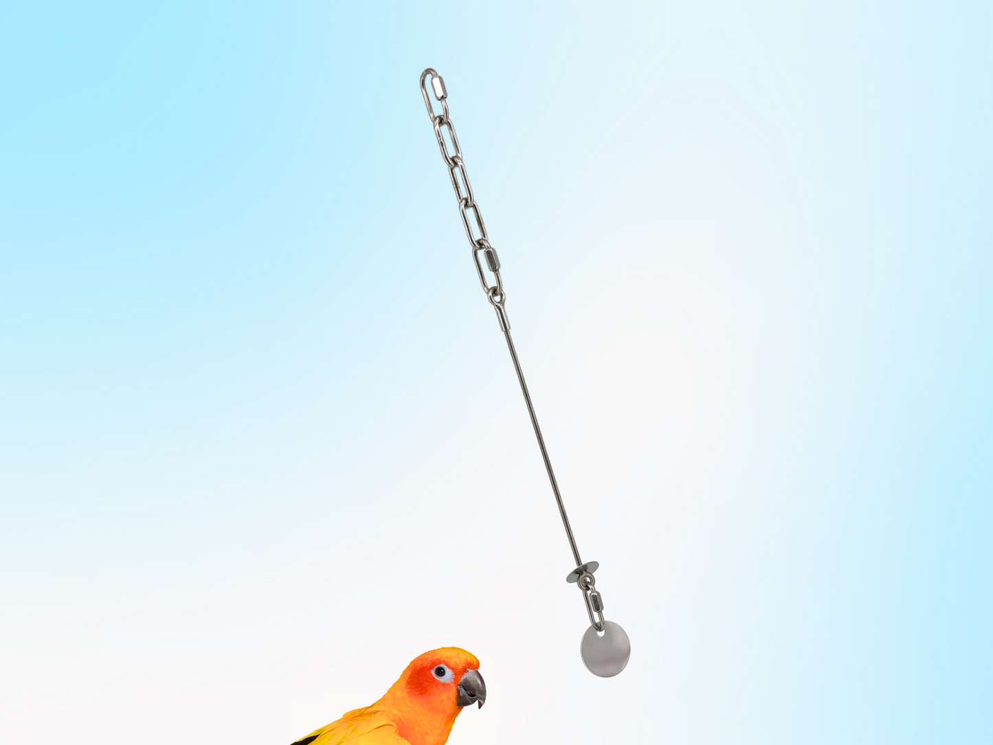 MEDIUM JANGLY POLE™ / Stainless Steel Parrot Toy Base / Skewer / Sustainable and Reusable Bird Toy Holder