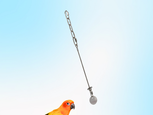 MEDIUM JANGLY POLE™ / Stainless Steel Parrot Toy Base / Skewer / Sustainable and Reusable Bird Toy Holder