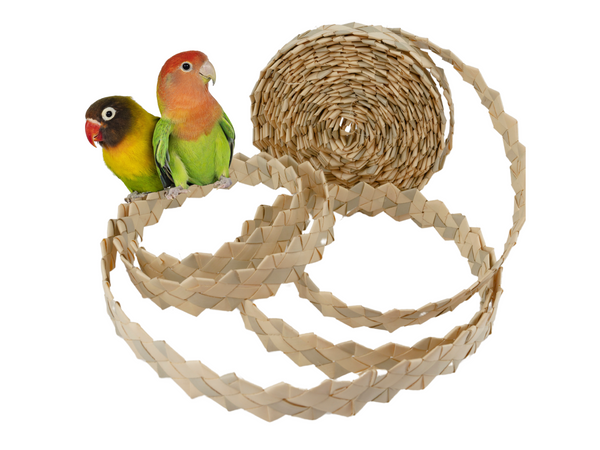 PALM RIBBON SHREDDER | 32 Feet (10 meters) of crunchy palm leaf | Jangly Ring™ refill | Natural bird toy