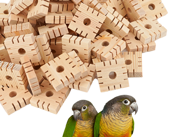 Wooden blocks with holes and two birds on a white background