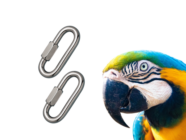 Set of Two EXTRA-LARGE QUICK LINKS made of stainless steel
