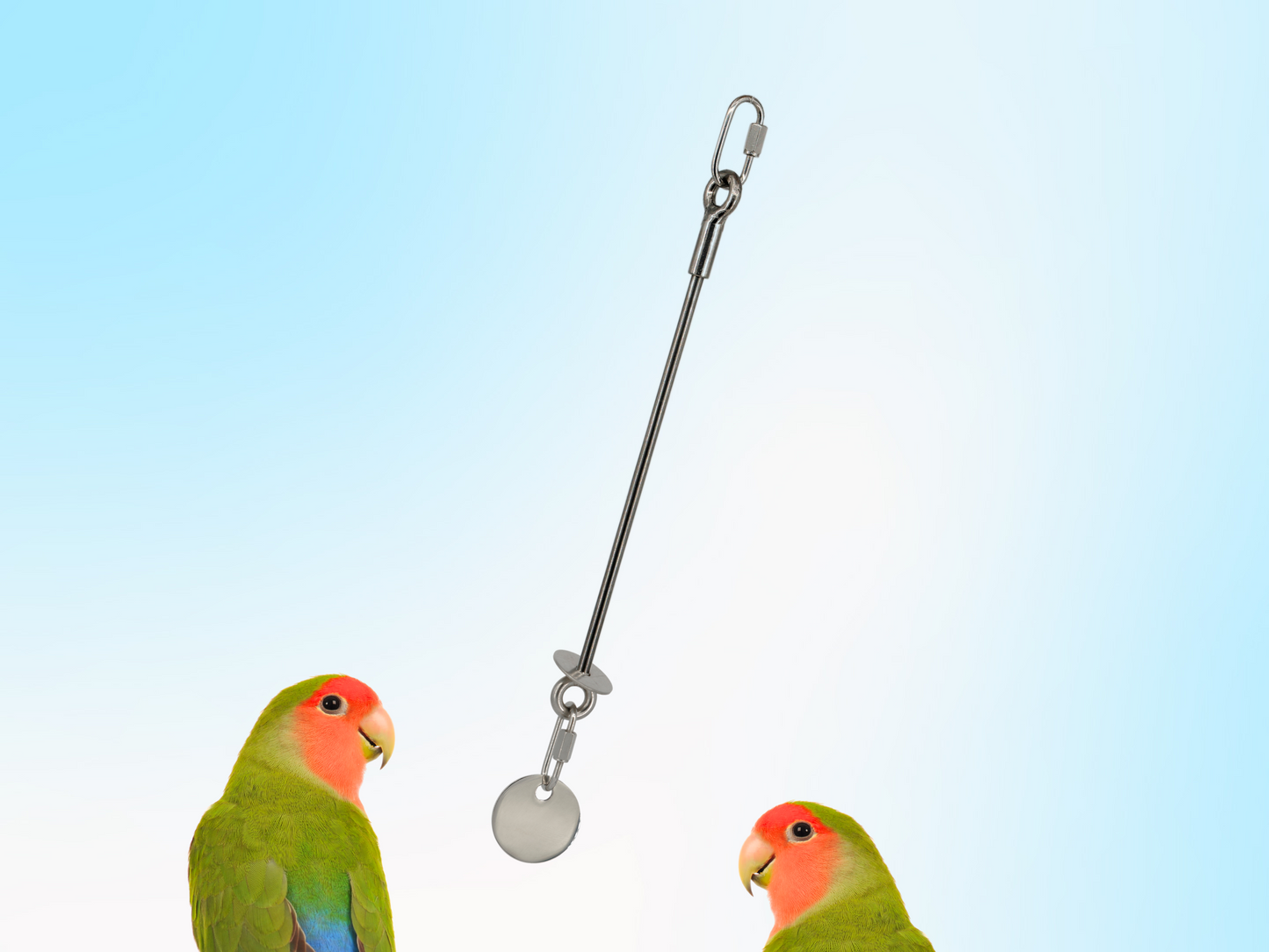 SMALL JANGLY POLE™ without extender / Stainless steel parrot toy holder / Sustainable and reusable bird toy base / Skewer