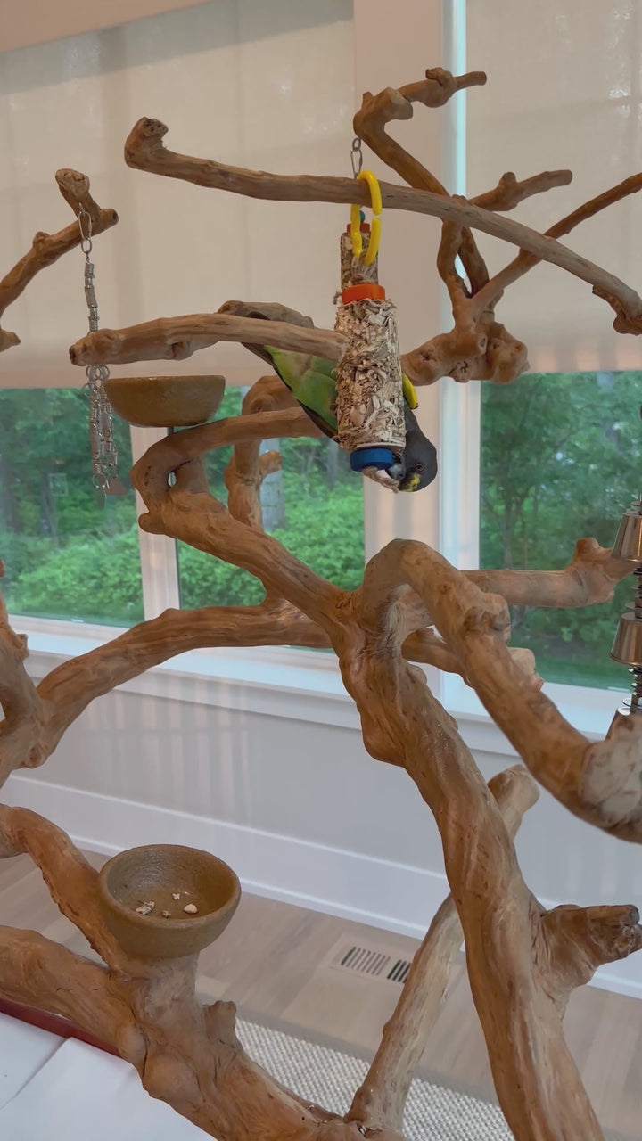 Small JANGLY POLE™ stainless steel parrot toy base loaded with natural palm leaf shredder