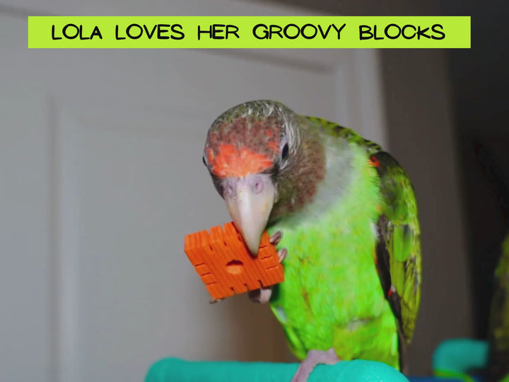 PINE BLOCKS for custom bird toys and pole refills | Set of 100 | Various sizes