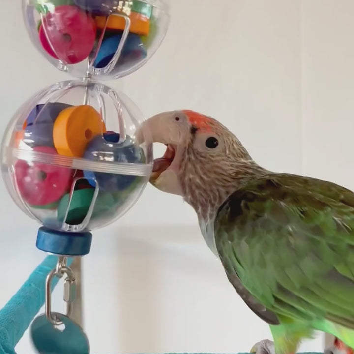 FORAGING BALLS | Set of Two | Puzzle toys | Foraging | Bird toy parts